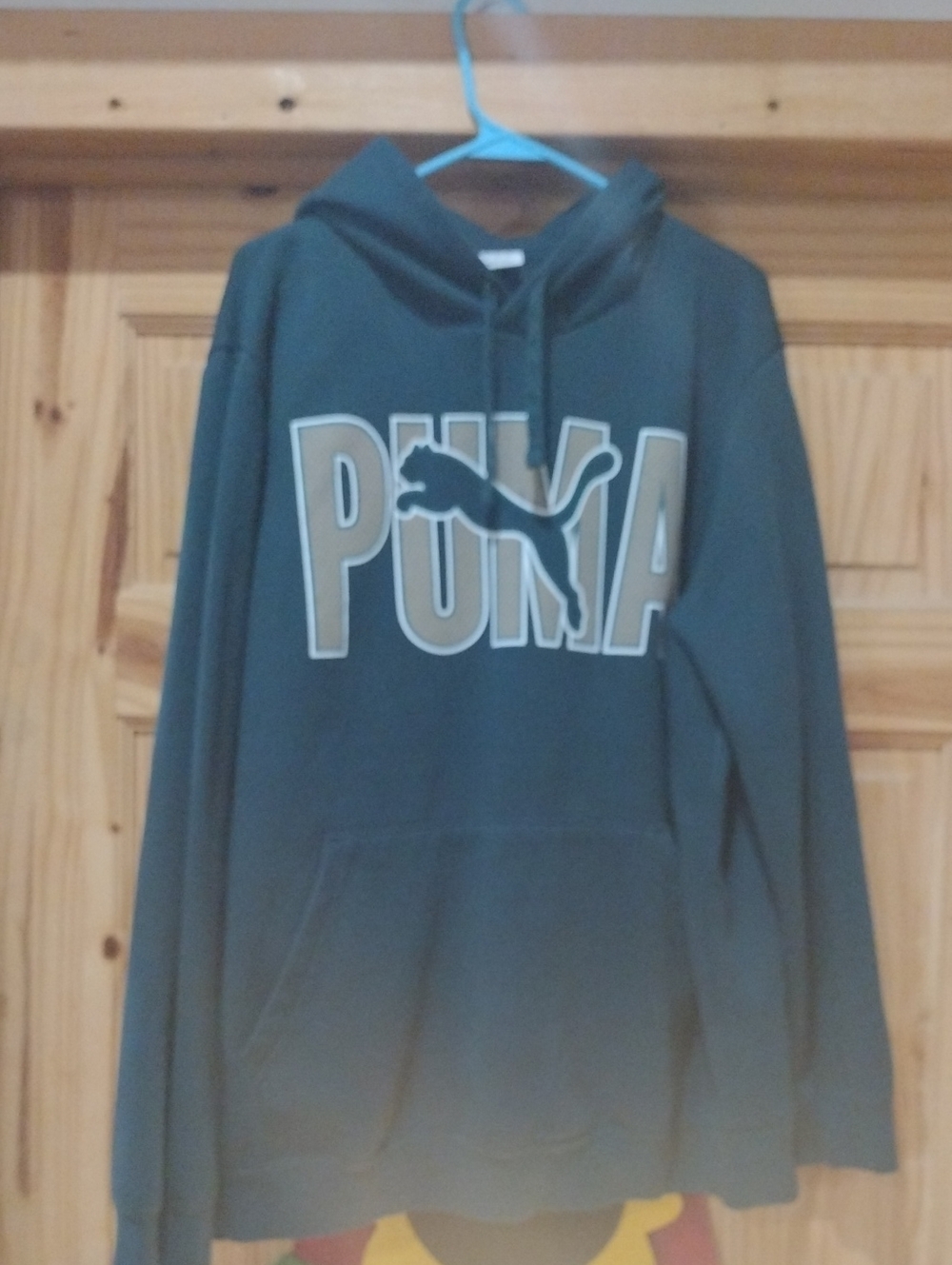 Puma Men's Dark  Green Logo Pullover Hoodie Sweatshirt